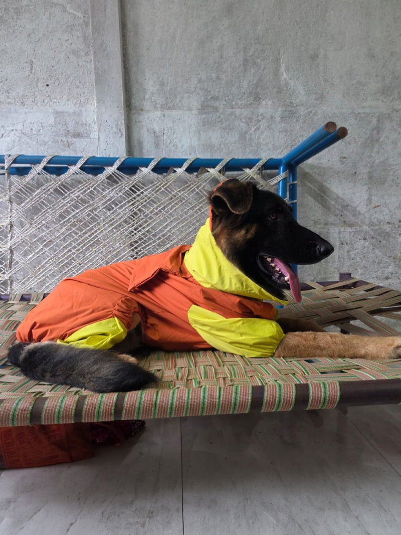 Orange Yellow Raincoat for Dogs