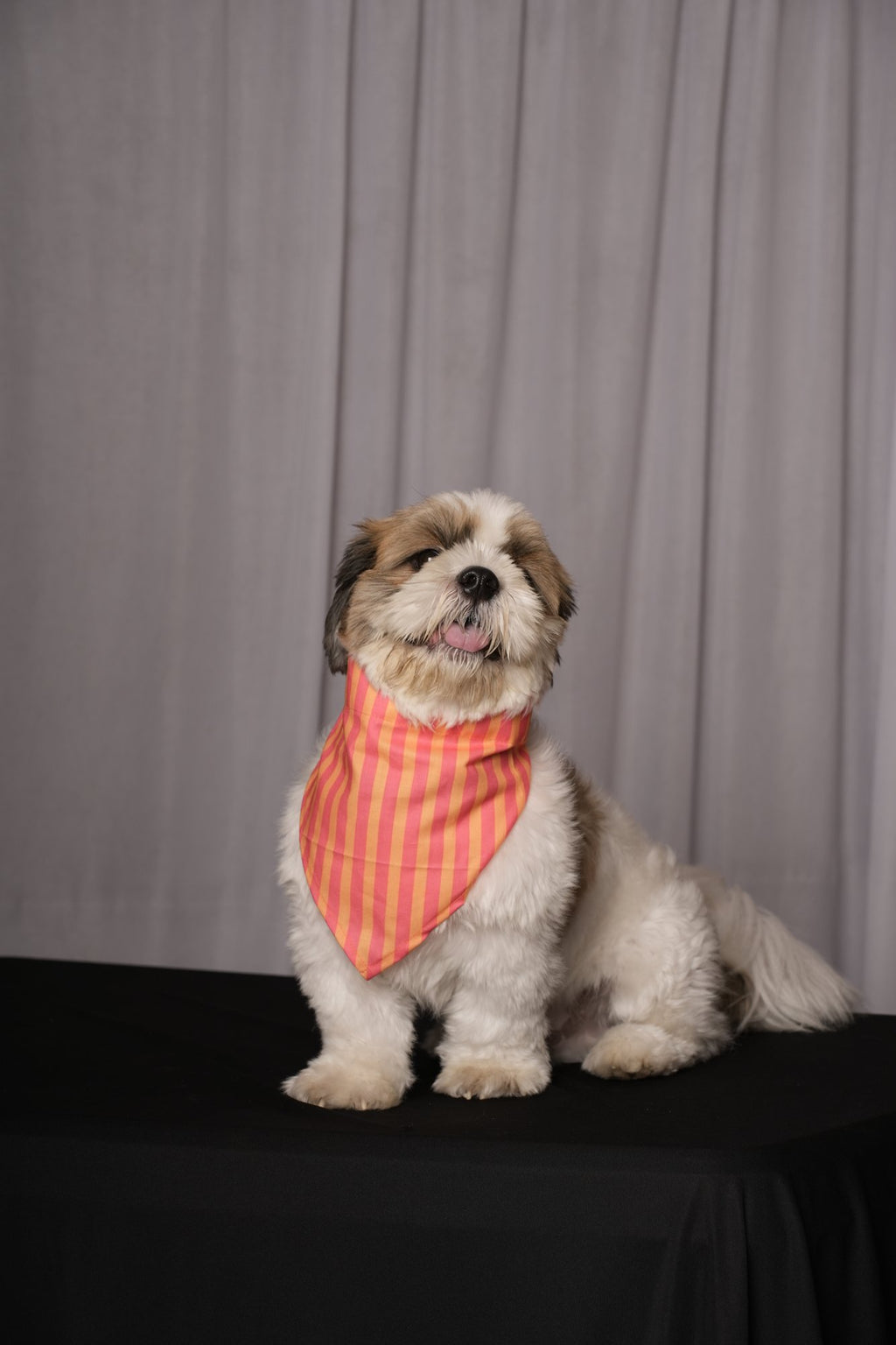 Pink & Orange Stripes Bandana for Dogs & Cats