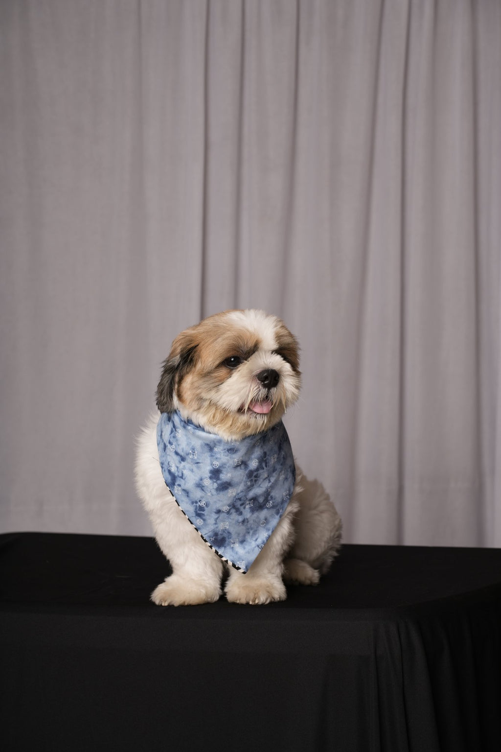 Black & White Zigzag & Denim Reversible Bandana for Dogs & Cats