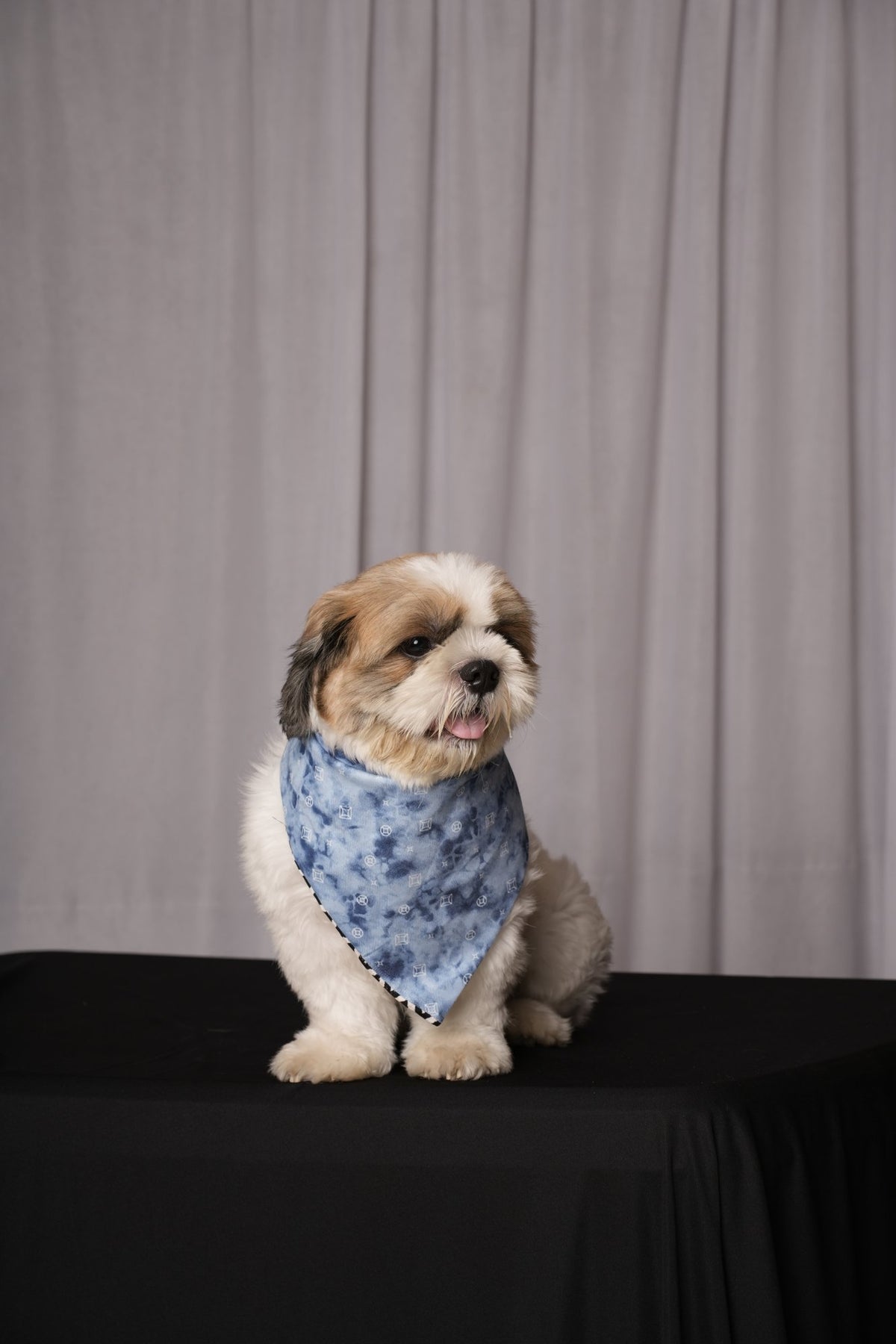 Black & White Zigzag & Denim Reversible Bandana for Dogs & Cats
