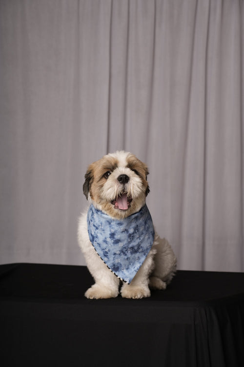 Black & White Zigzag & Denim Reversible Bandana for Dogs & Cats