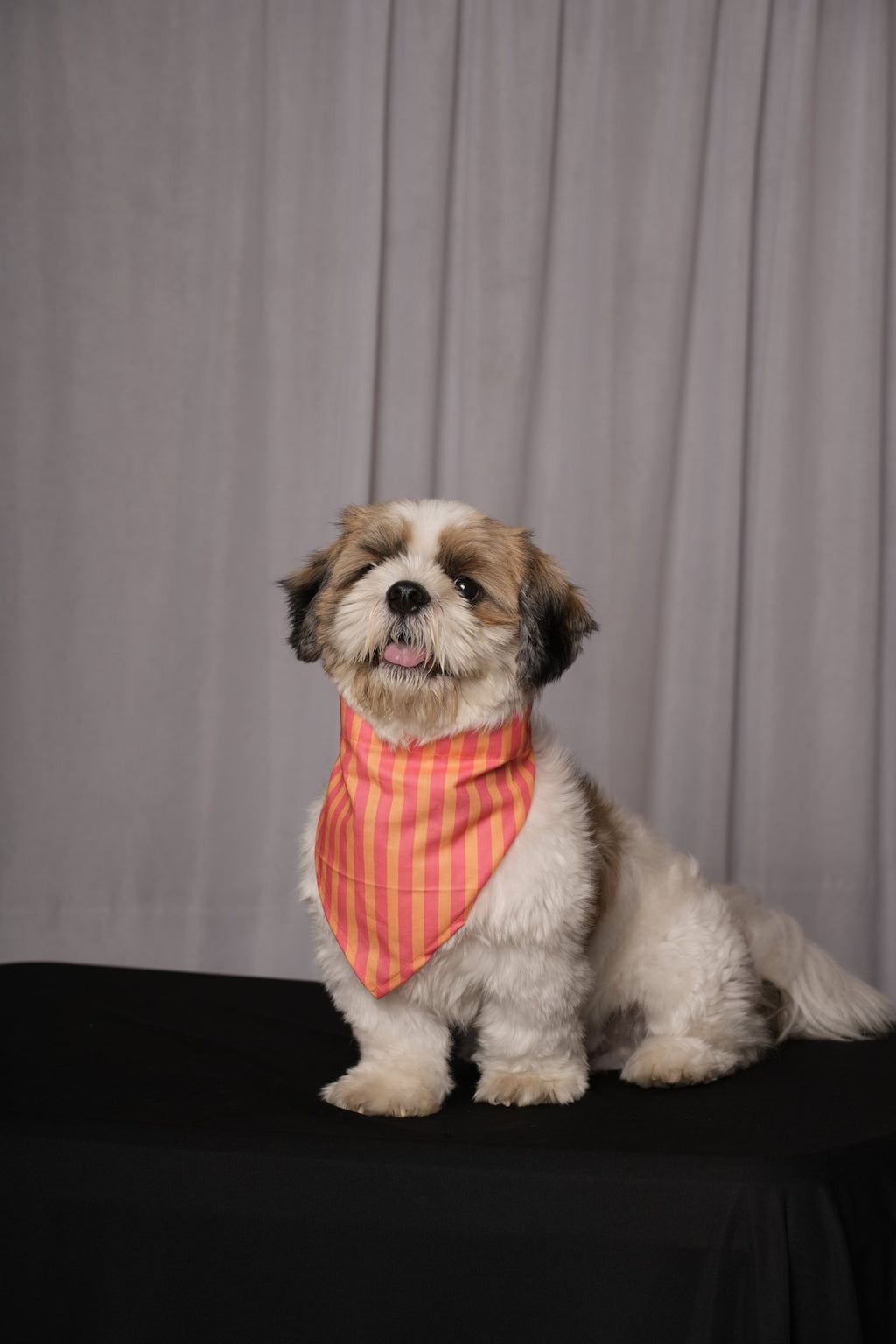 Pink & Orange Stripes Bandana for Dogs & Cats