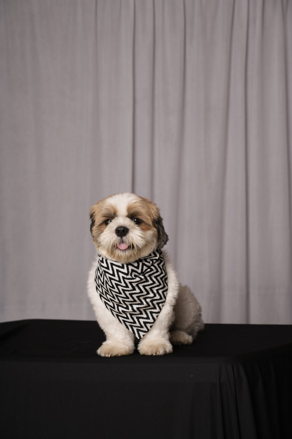 Black & White Zigzag & Denim Reversible Bandana for Dogs & Cats