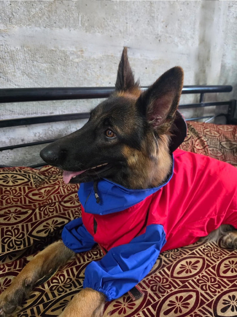 Red Blue Raincoat for Dogs