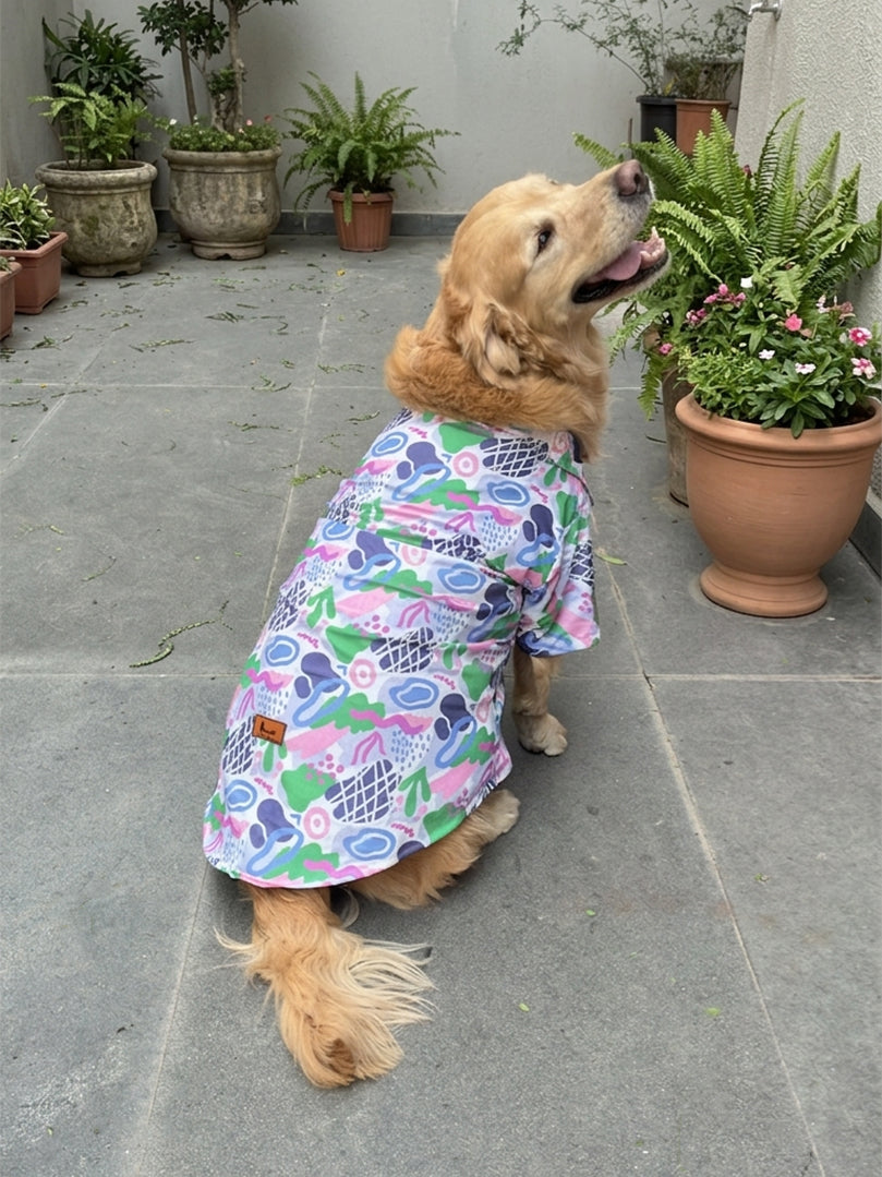 Golden Retriever sitting on a patio wearing a purple Abstract Shirt for dogs from The Woof Parade.
