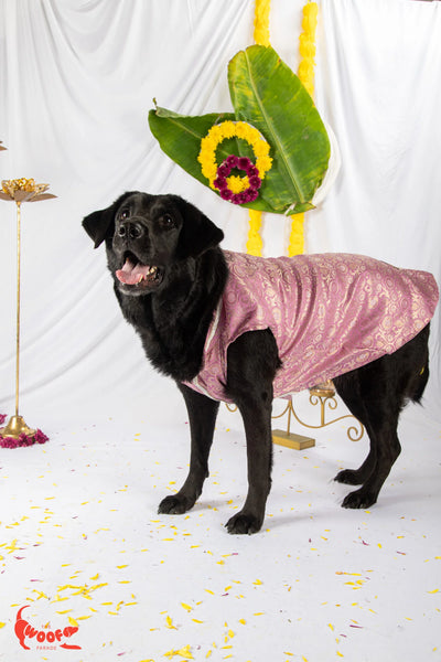 Banarasi Lavender Grace Ethnic Kurta for dogs & cats