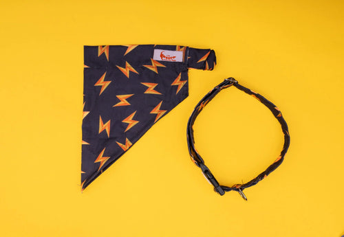 Matching Flash printed dog collar and bandana bundle for a bold, coordinated superhero style from The Woof Parade.