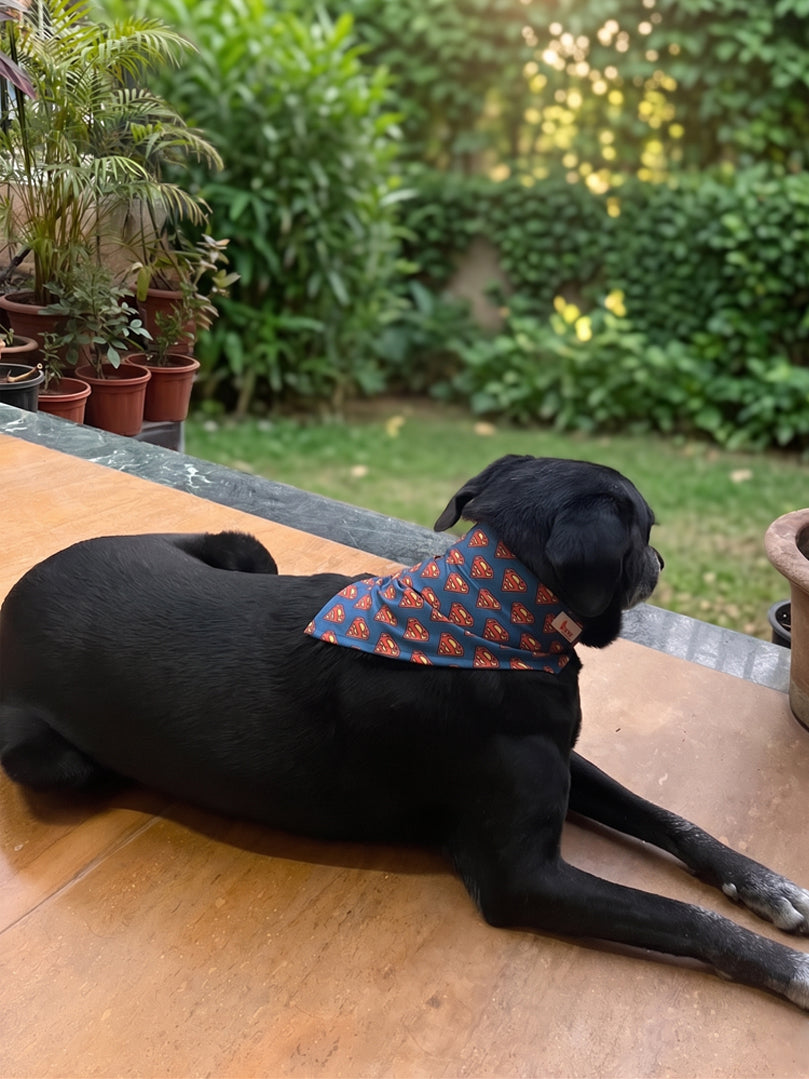 Bone Bandana for dogs