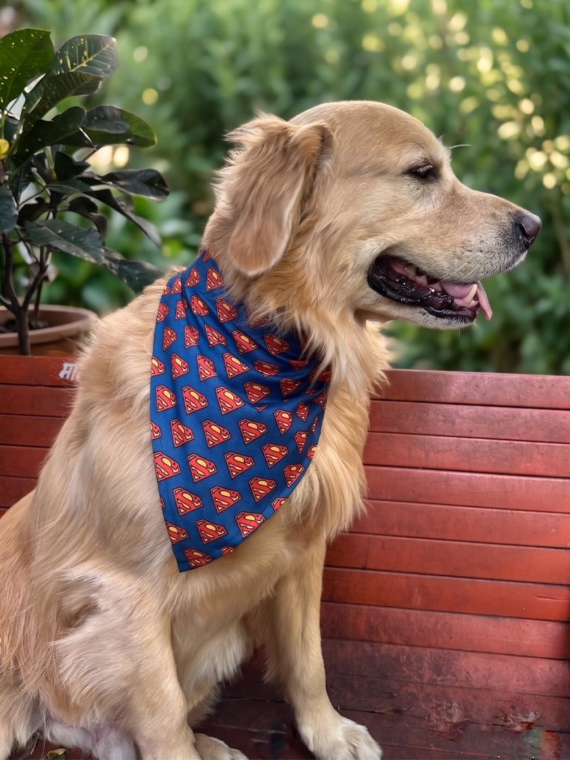 Flash Bandana for dogs