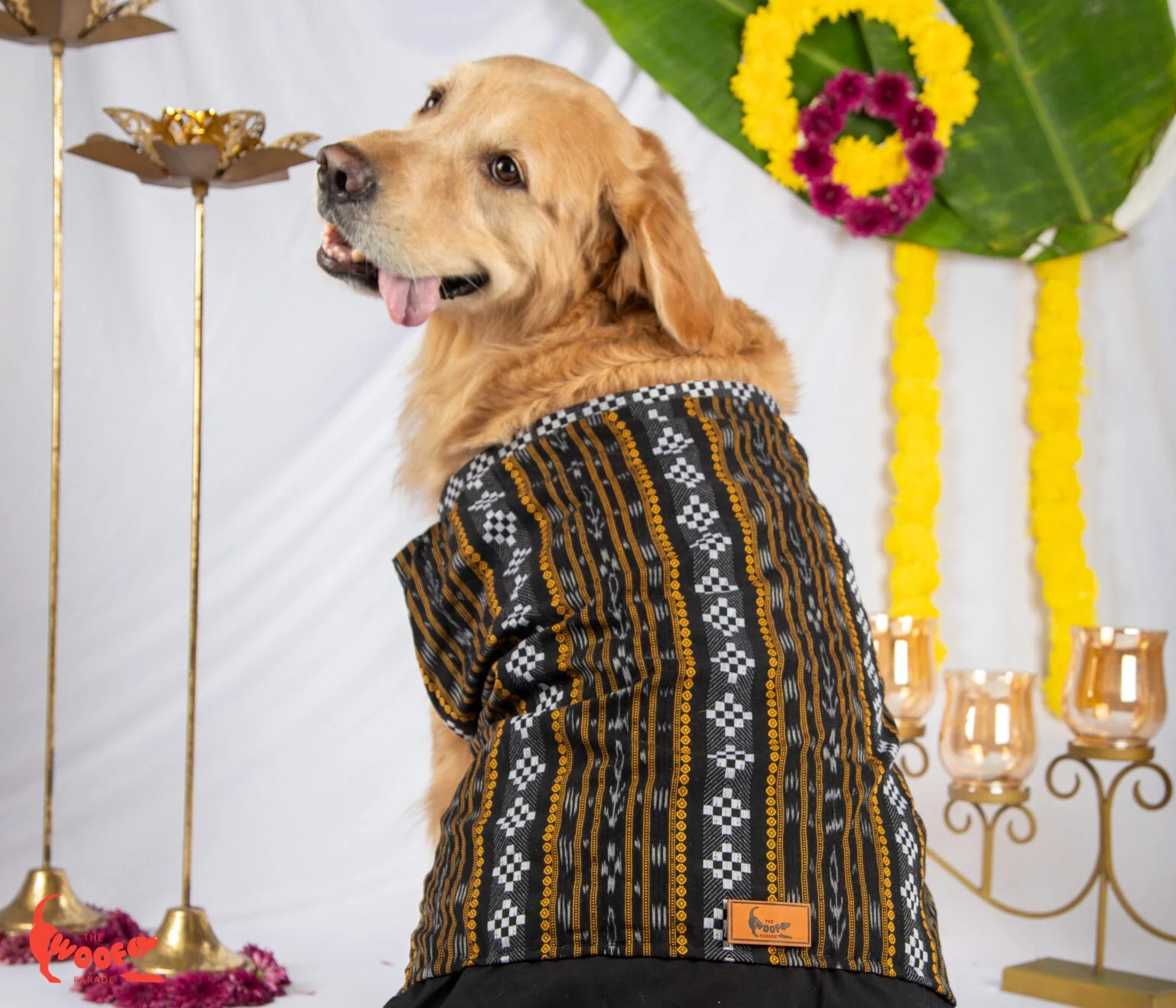 Back view of a Golden Retriever modeling a black and gold Assamese ethnic kurta for dogs, highlighting the intricate weave and heritage motifs — The Woof Parade.