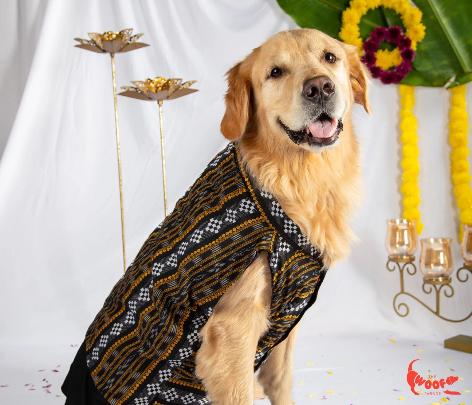 Golden Retriever sitting and modeling a classic black Assamese festive kurta for dogs and cats, perfect for coordinated ethnic family looks — The Woof Parade.