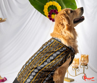 Black Assamese Classic Festive Kurta for dogs & cats