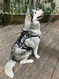 Husky dog sitting on a patio wearing a durable military print tactical harness by The Woof Parade.