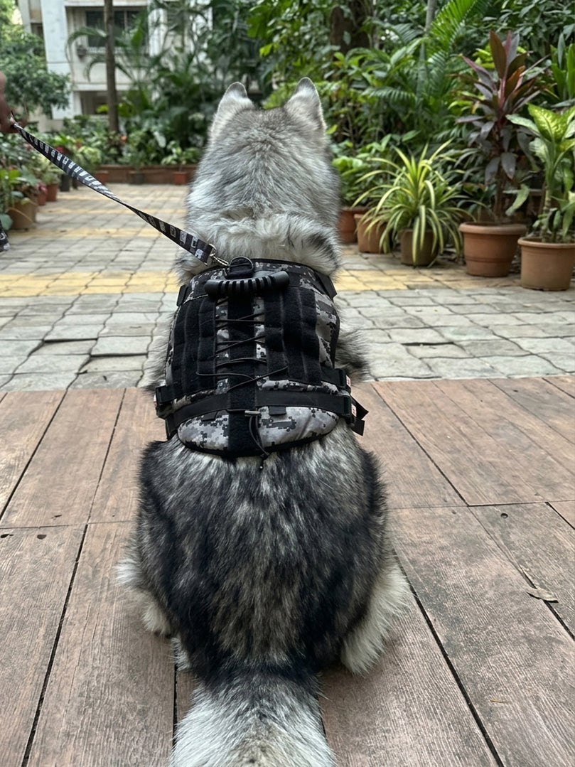 Back view of a Husky wearing a camouflage tactical dog harness with a reinforced top handle for extra control.