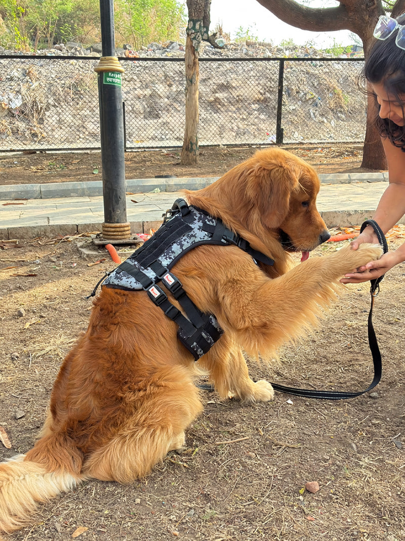 Tactical Harness (military print) for dogs