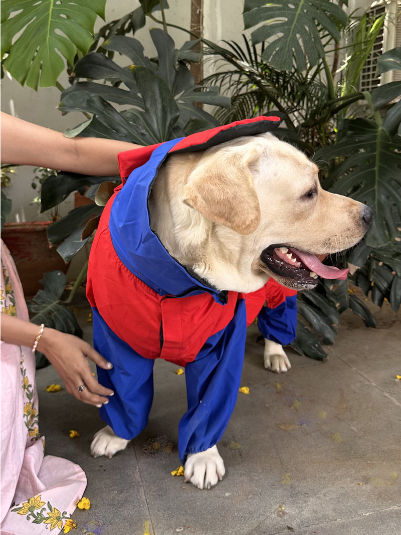 Red Blue Raincoat for Dogs