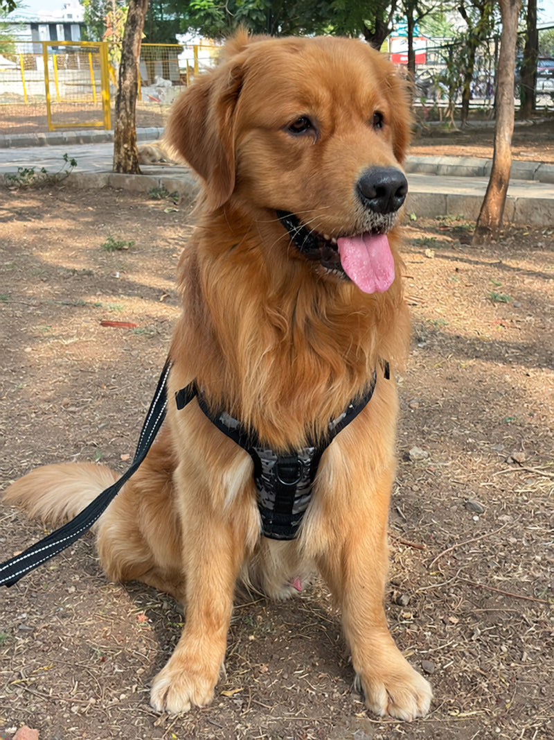Tactical Harness (military print) for dogs