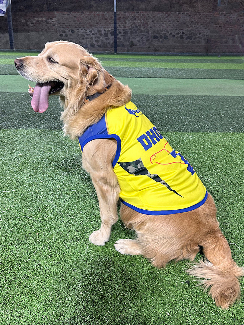 Golden Retriever sitting on a turf field wearing the yellow and blue Dhoni 7 fan jersey from The Woof Parade.