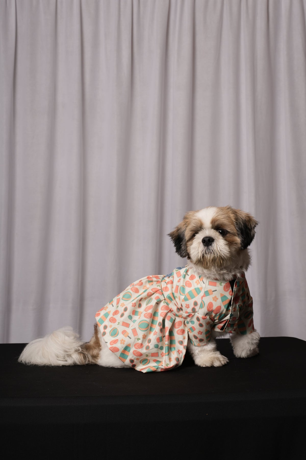 Hawaii Frock for Dogs & Cats
