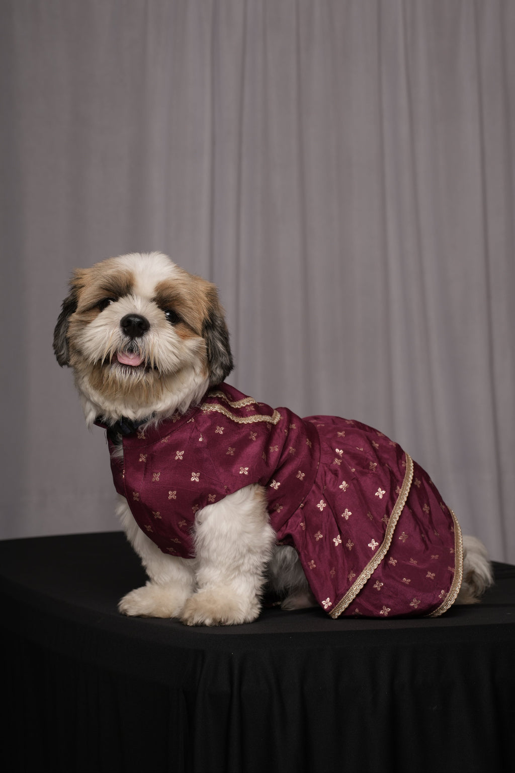 Purple Ethnic Frock for Dogs & Cats