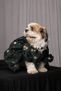 Green Banarasi Frock for Dogs & Cats