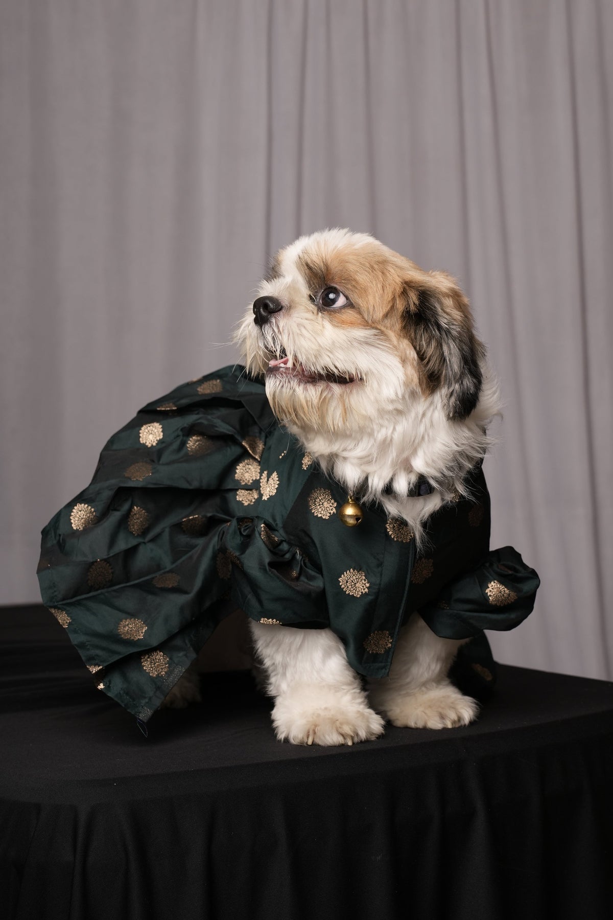 Green Banarasi Frock for Dogs & Cats
