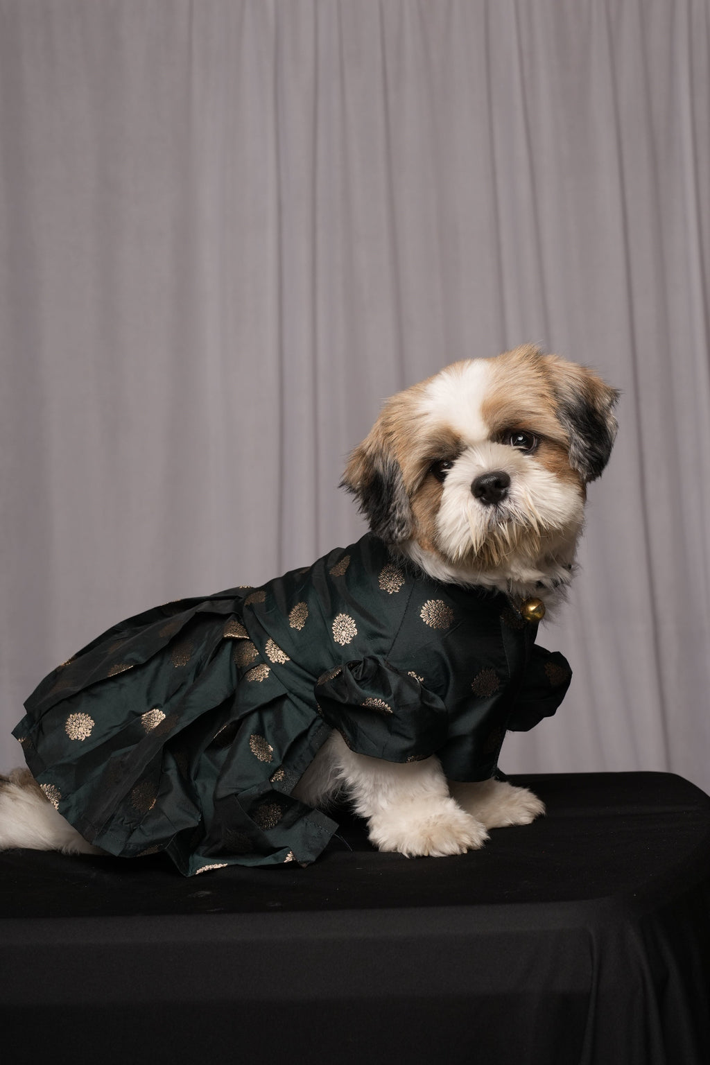 Green Banarasi Frock for Dogs & Cats