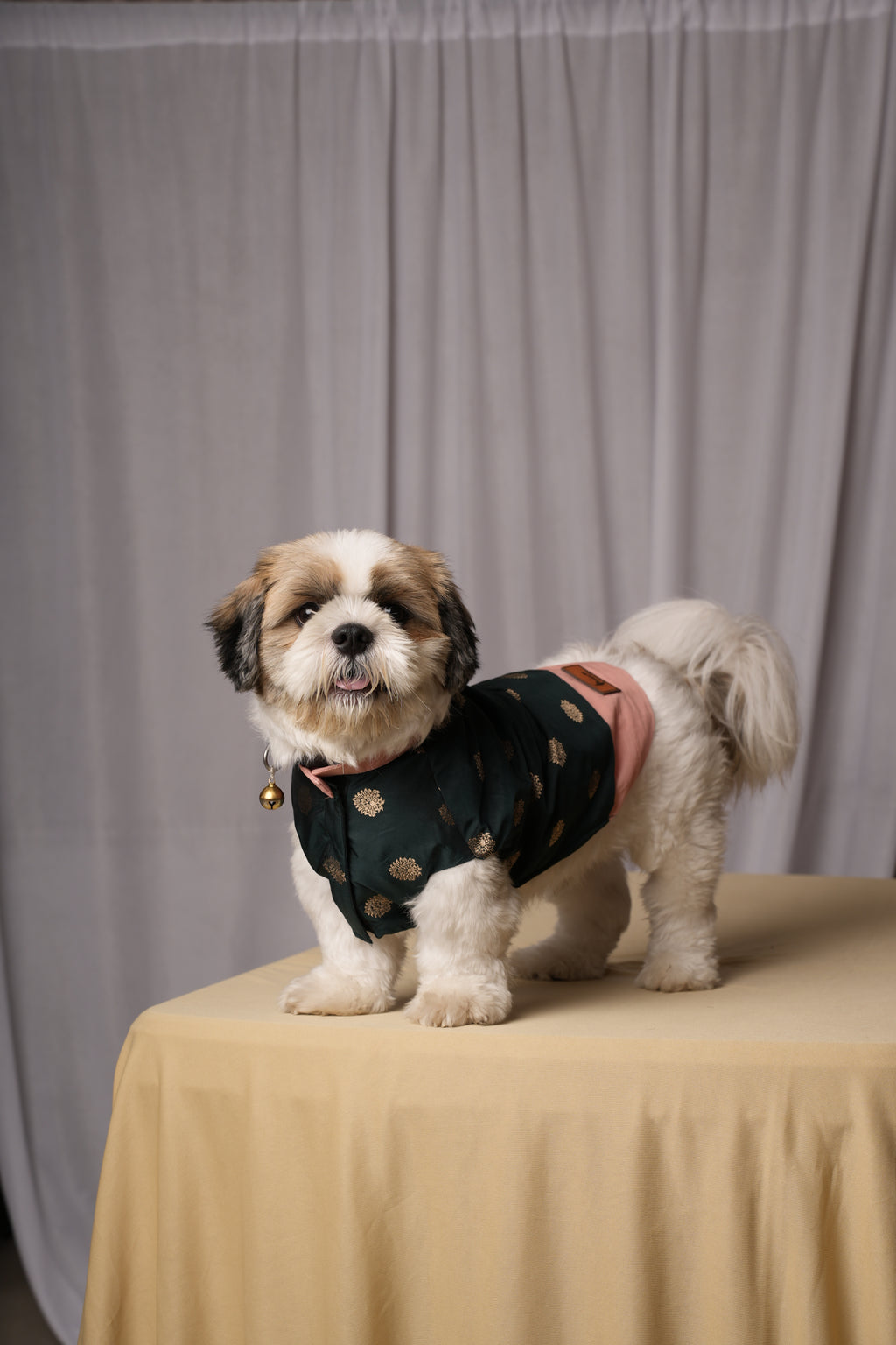 Green Banarasi Kurta for Dogs & Cats