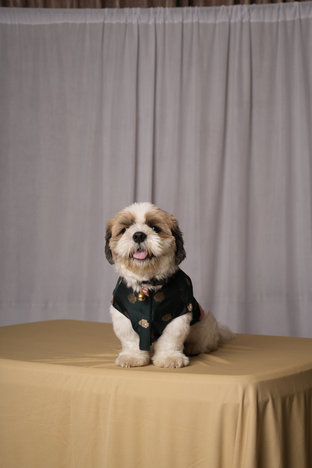 Green Banarasi Kurta for Dogs & Cats