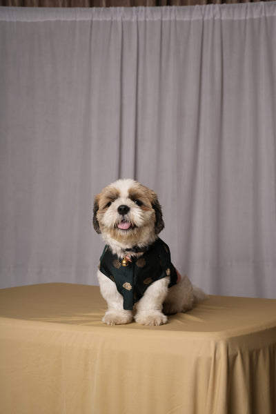 Green Banarasi Kurta for Dogs & Cats