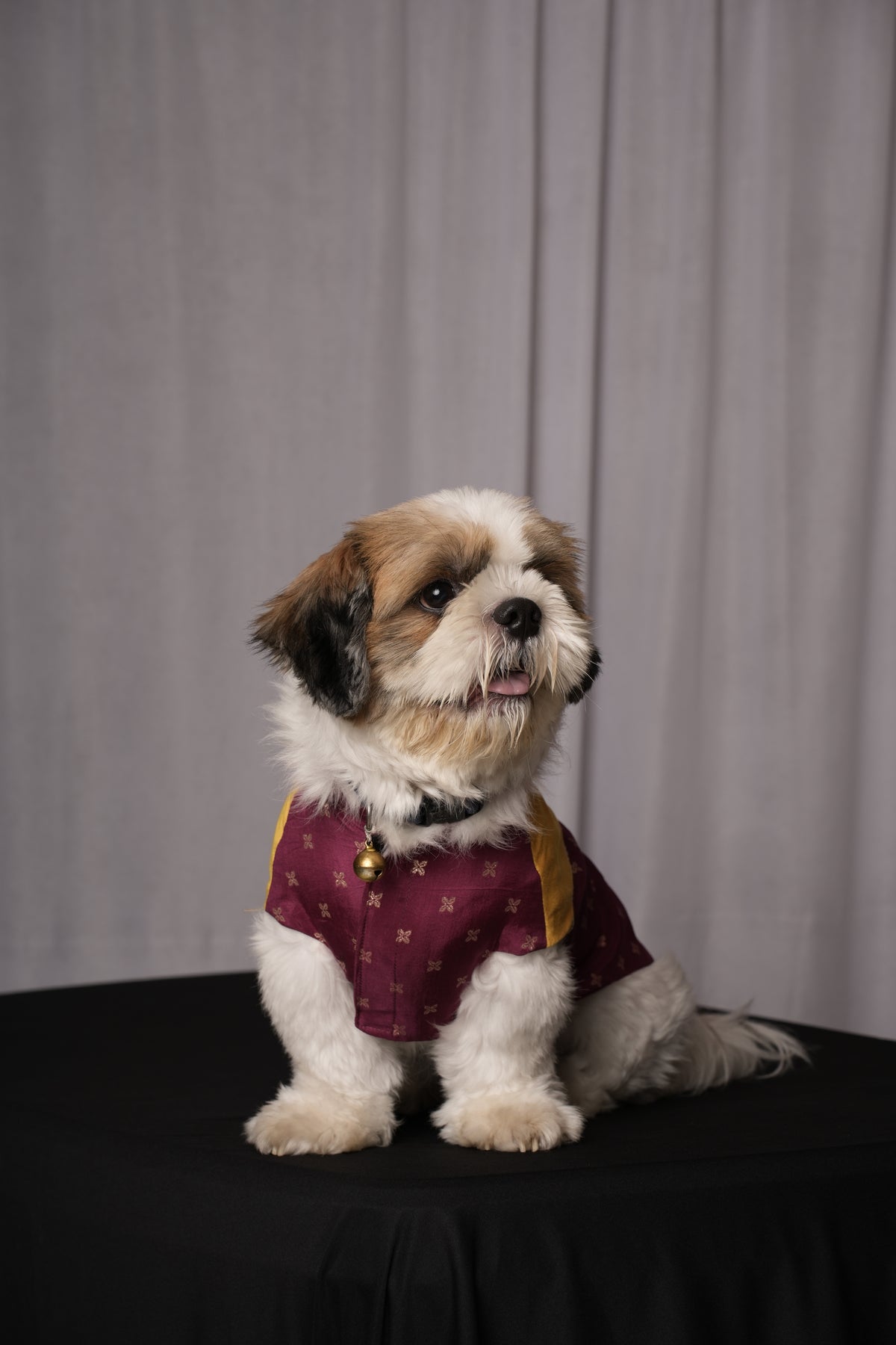 Purple Kanha Kurta for Dogs & Cats