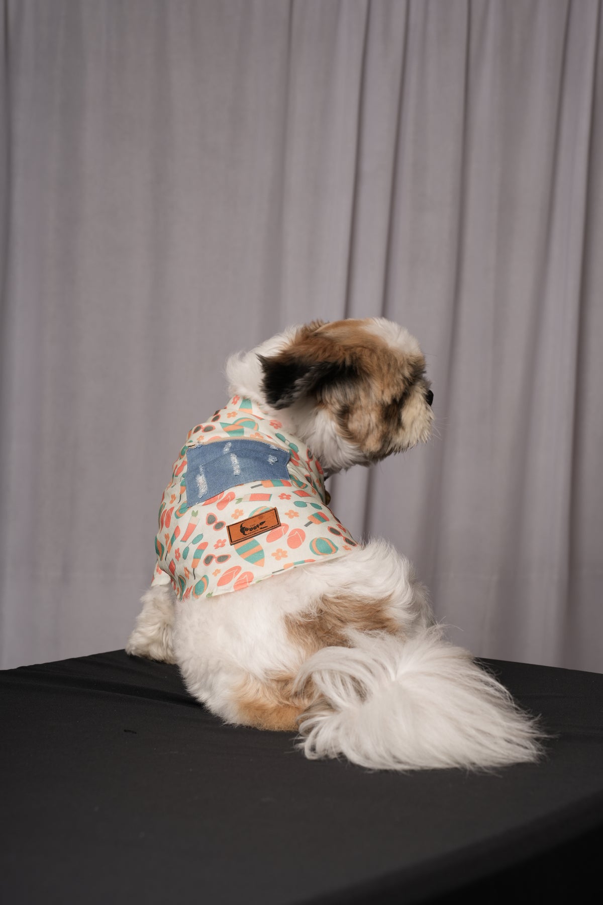 Hawaii Shirt for dogs & cats