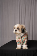 Hawaii Shirt for dogs & cats