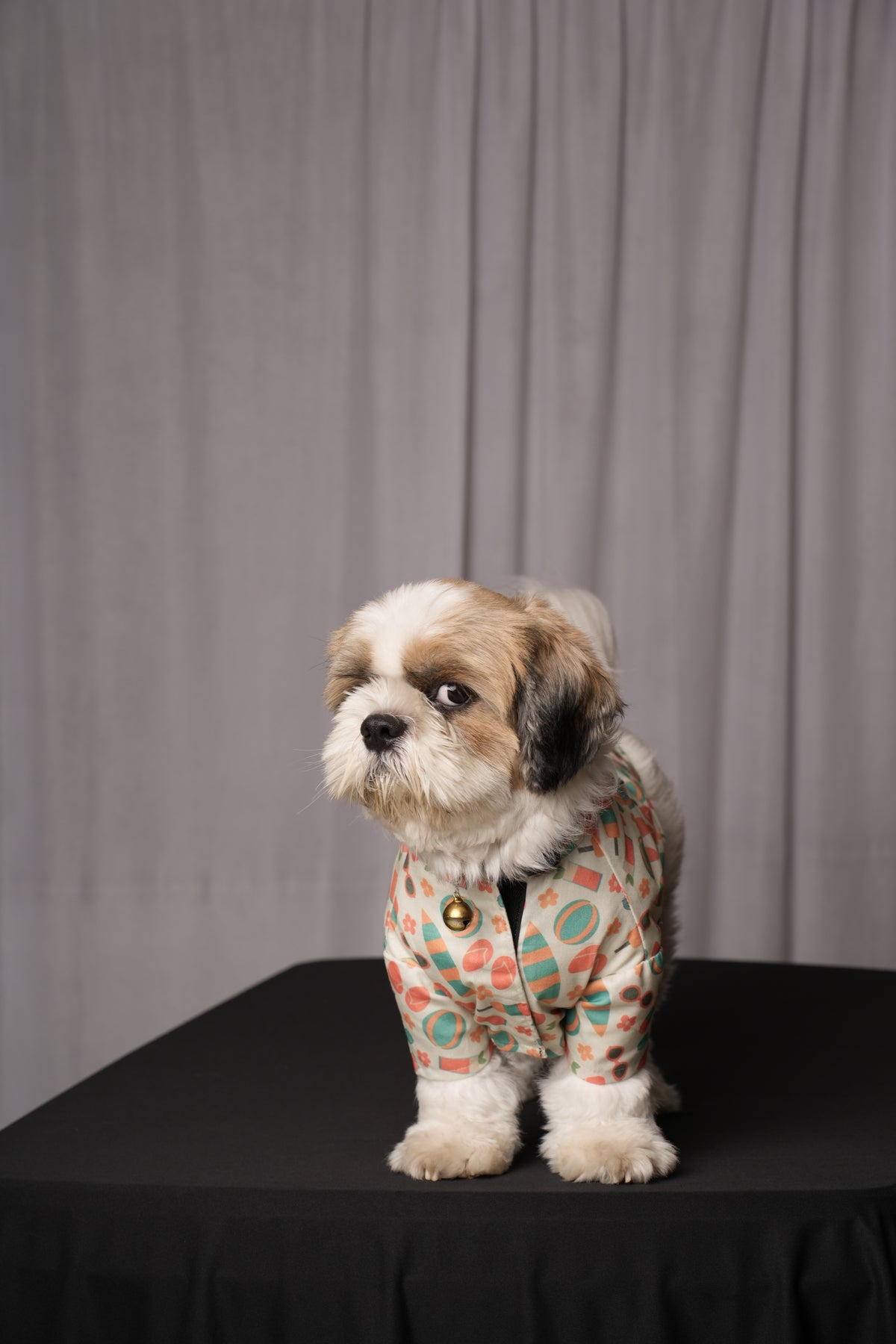Hawaii Shirt for dogs & cats
