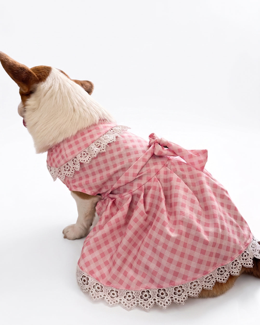 Pink frock for dogs & cats