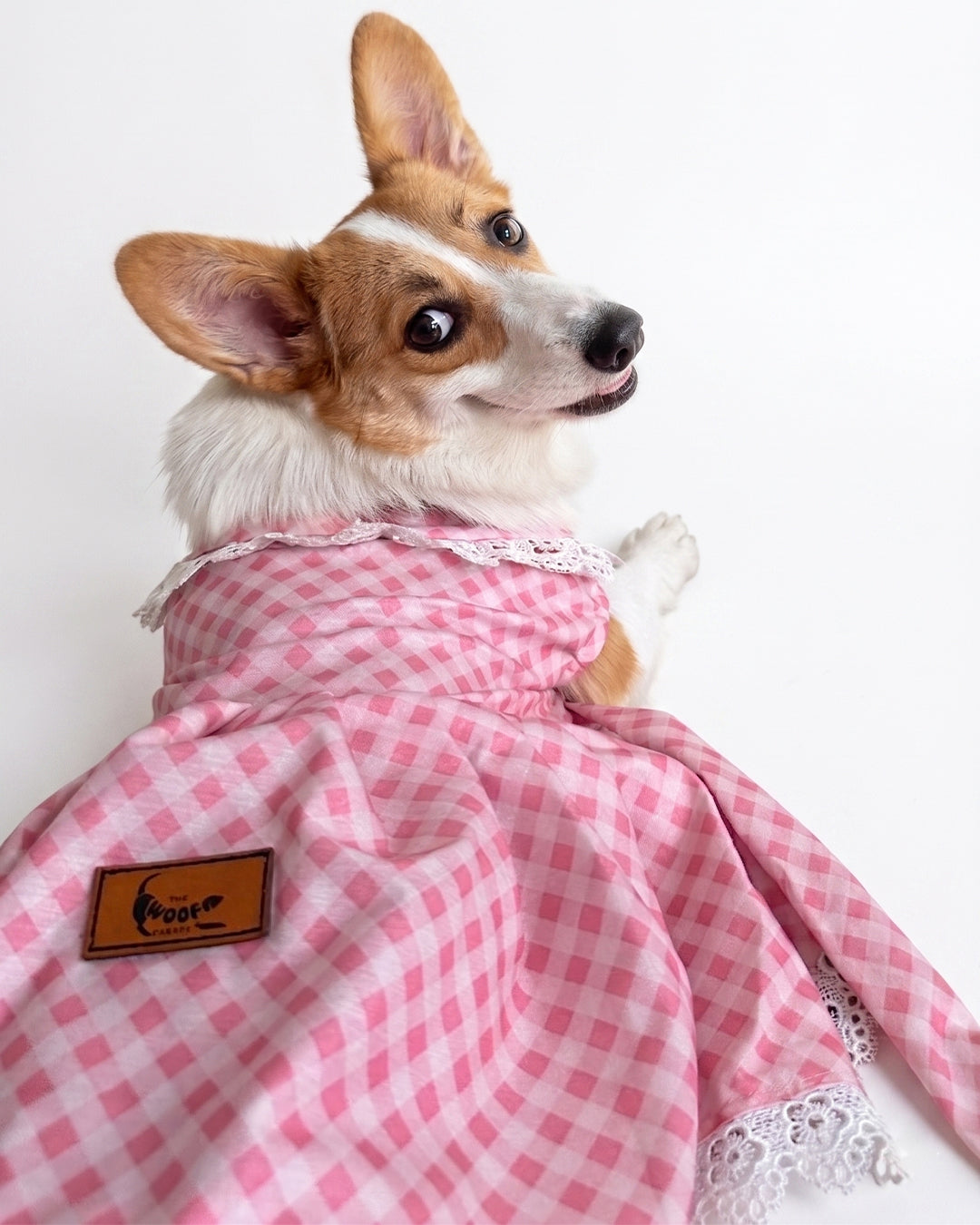 Pink frock for dogs & cats