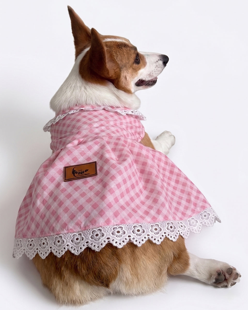 Pink frock for dogs & cats