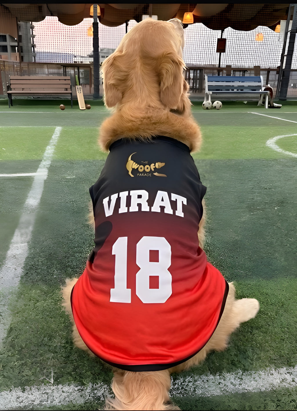 Golden Retriever model wearing a red and black custom dog sports jersey by The Woof Parade.
