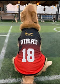 Golden Retriever model wearing a red and black custom dog sports jersey by The Woof Parade.