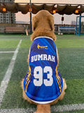 Golden Retriever wearing a custom "Bumrah 93" blue and gold cricket jersey for dogs from The Woof Parade.