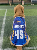 Golden Retriever wearing a custom blue "Rohit 45" cricket jersey for dogs from The Woof Parade.
