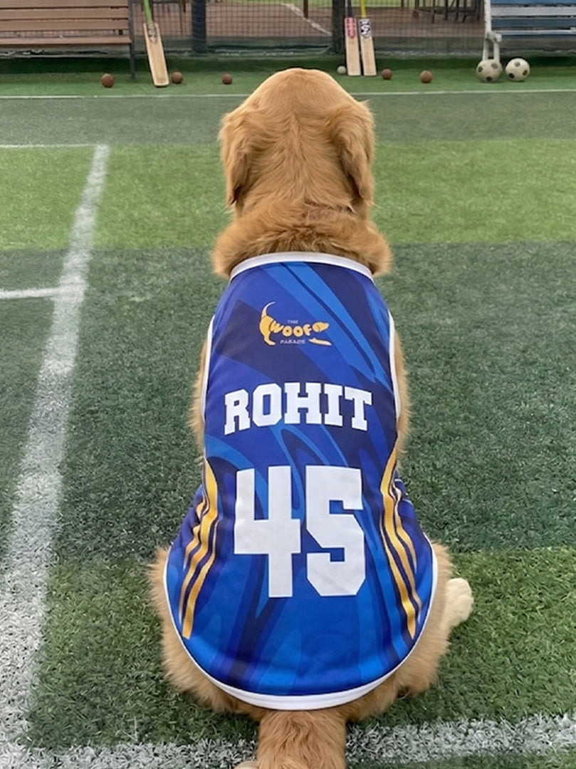 Golden Retriever wearing a custom blue "Rohit 45" cricket jersey for dogs from The Woof Parade.