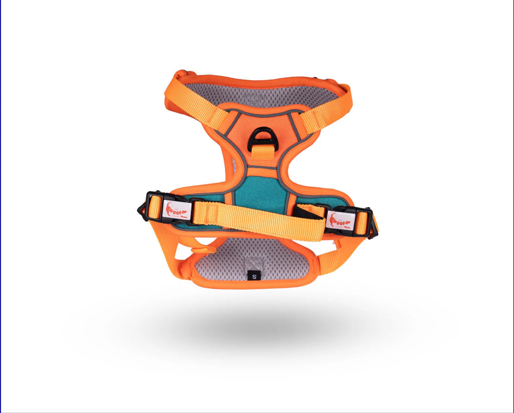 Front view of a breathable orange mesh dog harness featuring high-visibility reflective stitching by The Woof Parade.