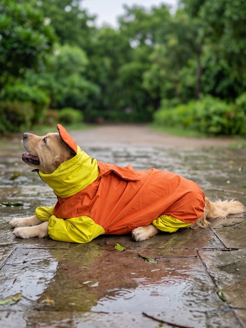 Orange Yellow Raincoat for Dogs