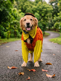 Orange Yellow Raincoat for Dogs