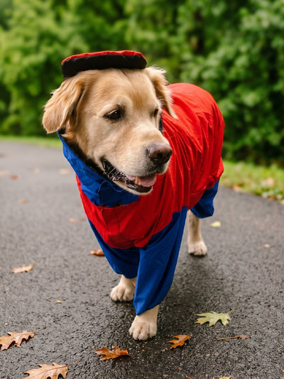 Red Blue Raincoat for Dogs