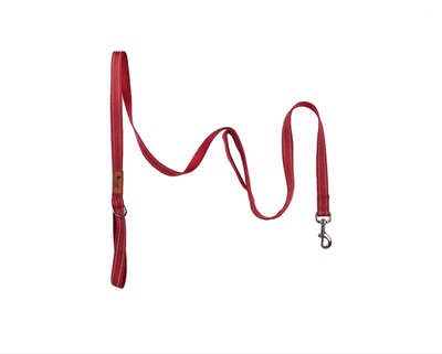 Double Handle Reflective Leash for dogs