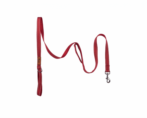 Red double handle reflective dog leash with dual padded handles and a strong metal clasp from The Woof Parade.