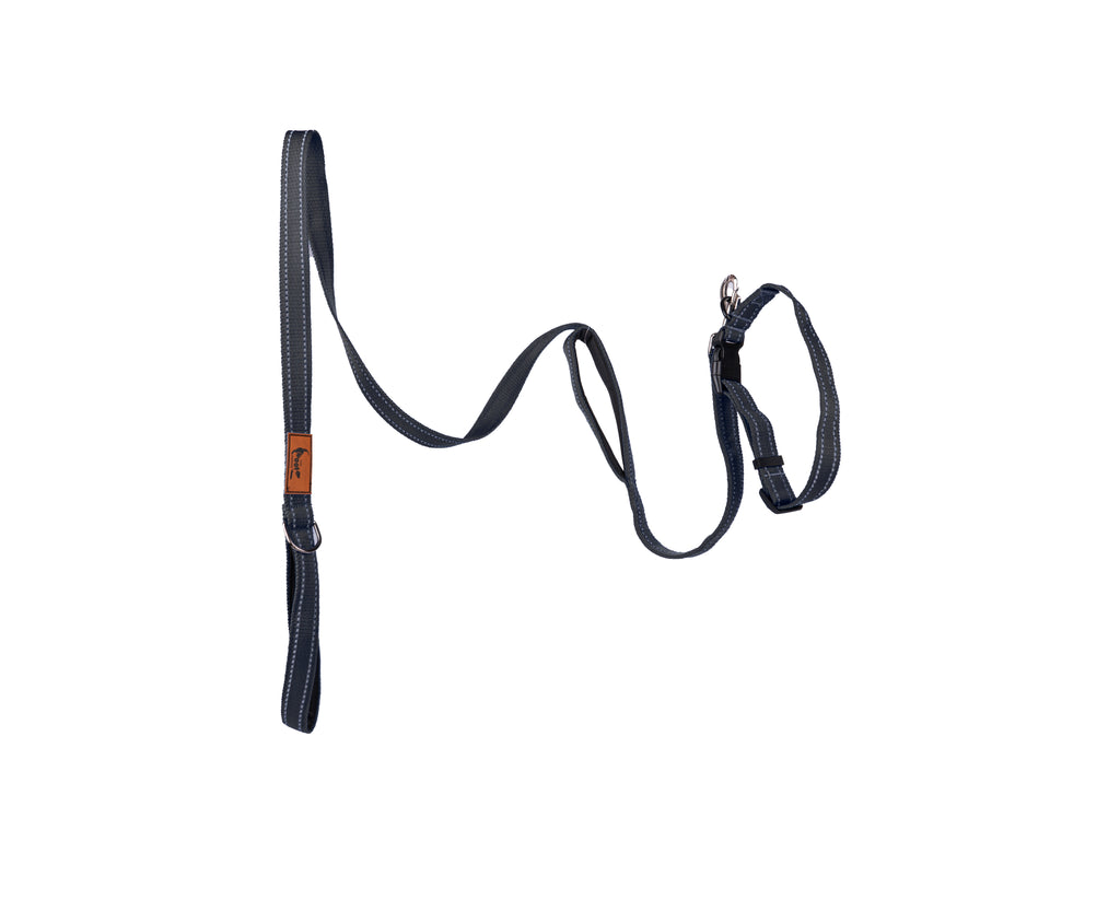 Heavy-duty black reflective dog leash featuring reflective stitching for low-light visibility by The Woof Parade.