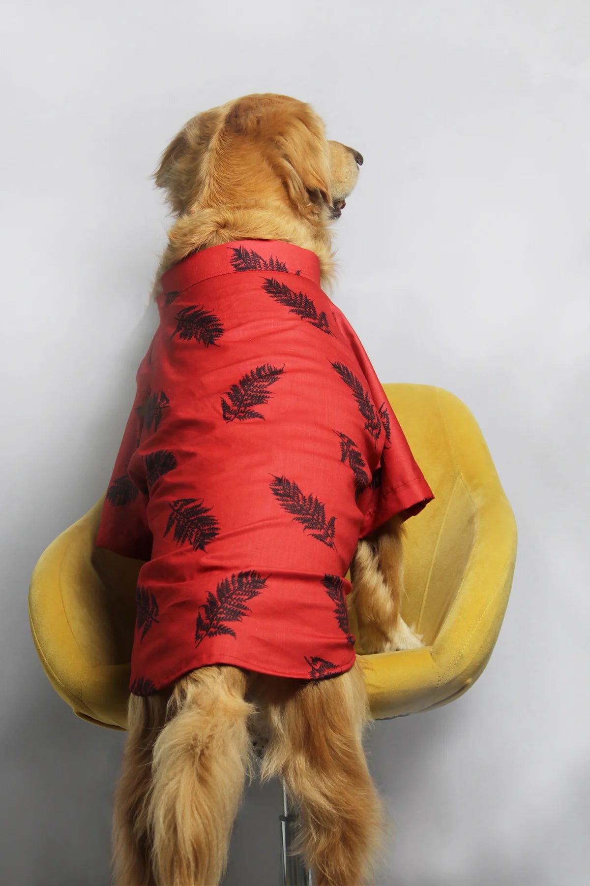 Back view of a Golden Retriever modeling the red cotton dog shirt featuring a black leaf-like pattern by The Woof Parade.